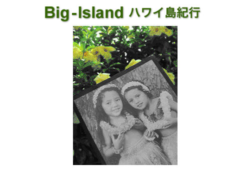 Big-Island ハワイ島紀行