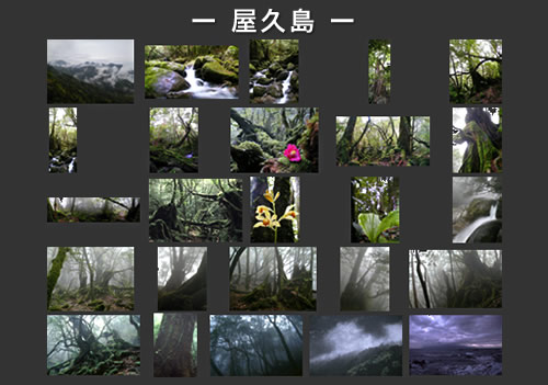 屋久島