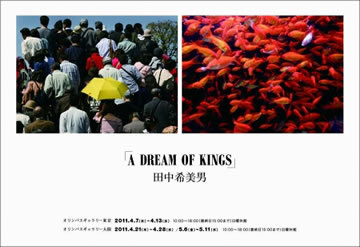 A DREAM OF KINGS